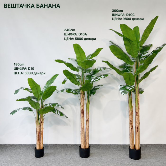 Вештачка Банана достапна во 3 висини: 180 cm, 240 cm и 300 cm, со шифри D10, D10A и D10C.