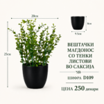 Вештачки магдонос со тенки листови во саксија, шифра D109, цена 250 денари.