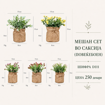 Мешан сет во саксија (повеќебоен), шифра D111, цена 250 денари.