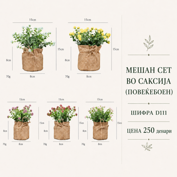Мешан сет во саксија (повеќебоен), шифра D111, цена 250 денари.