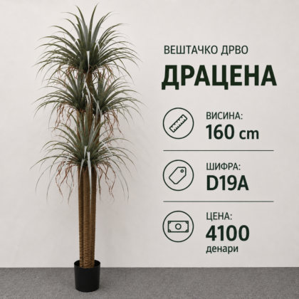 Вештачко дрво Драцена во саксија, достапно во висини 120 cm, 160 cm и 180 cm, за внатрешно уредување на домови, канцеларии и деловни простории.
