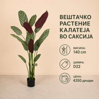 Вештачко растение Калатеја во саксија, достапно во две висини: 140 cm и 160 cm.