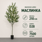 Вештачко дрво маслинка во саксија, висина 210 см, шифра D28, цена 7500 денари.