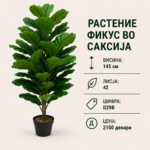 Вештачко растение фикус во саксија, достапно во 4 висини: 85 cm, 120 cm, 145 cm и 175 cm.