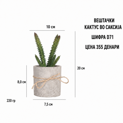 Вештачки кактус во саксија со шифра D71 и цена 355 денари.