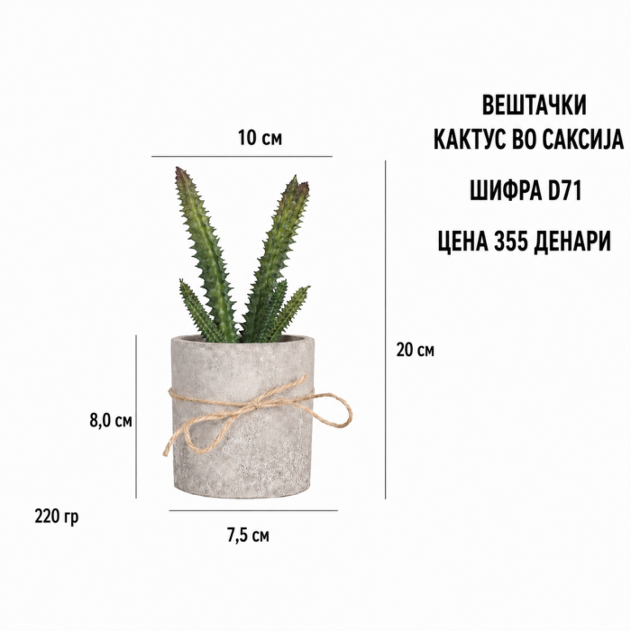 Вештачки кактус во саксија со шифра D71 и цена 355 денари.