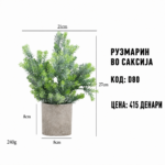 Рузмарин во саксија, шифра D80, цена 415 денари.