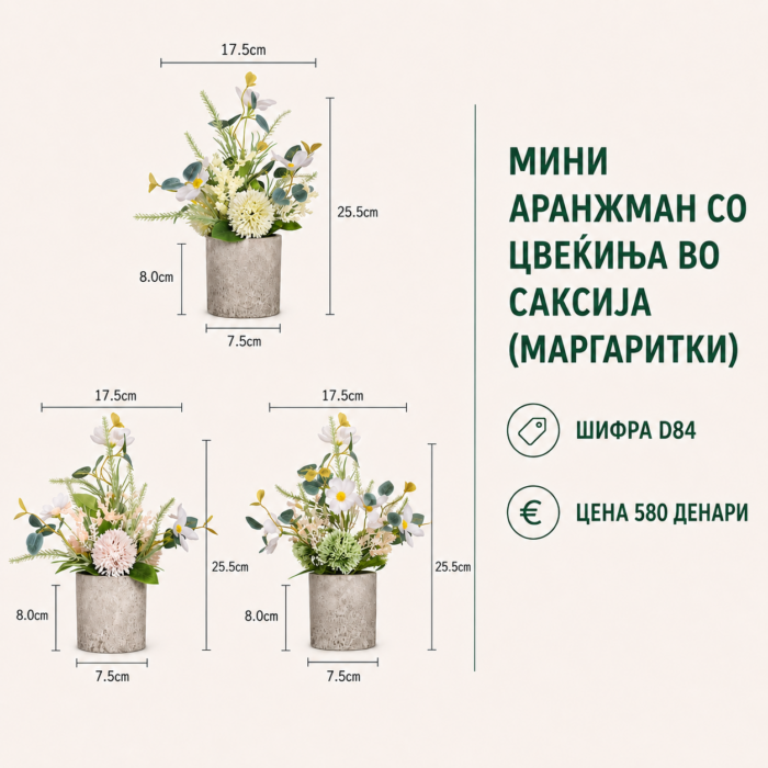 Мини аранжман со цвеќиња во саксија (маргаритки), шифра D84, цена 580 денари.