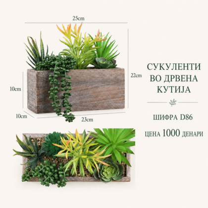 Сукуленти во дрвена кутија, шифра D86, цена 1000 денари.