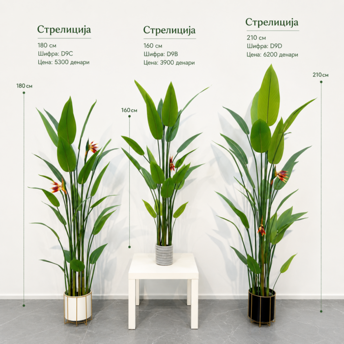 Вештачка Стрелиција (Bird of Paradise) достапна во 5 висини: 110 cm, 140 cm, 160 cm, 180 cm и 210 cm, со шифри D9, D9A, D9B, D9C и D9D.
