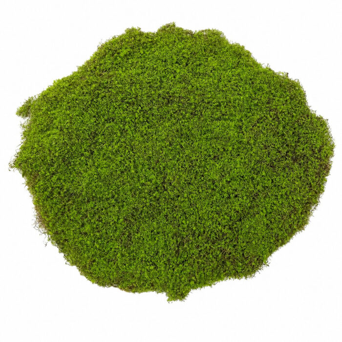vestacka mov ysj-101 45x45cm